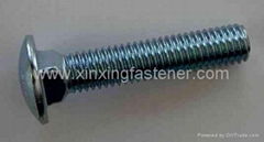 DIN603 Carriage Bolt