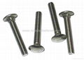 DIN603 Carriage Bolt 2