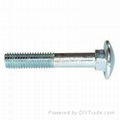 DIN603 Carriage Bolt 3