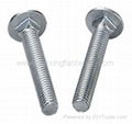 DIN603 Carriage Bolt 5