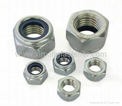 Nylon Insert Lock Nut