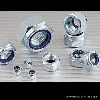 Nylon Insert Lock Nut 5