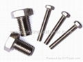 DIN931 Hex Bolt 1