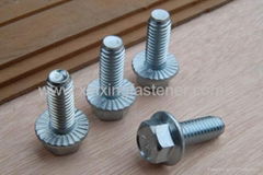 Hexagon bolts with flange