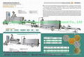 Artificial Rice Processing Line