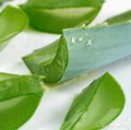 Aloe Vera Jelly 2