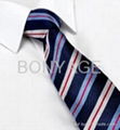 Super Fashion Silk Ties 2