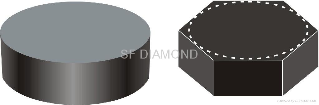 TSD Diamond Die Blanks for Wire Drawing