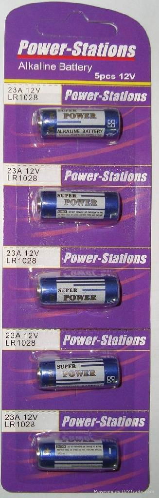 23A,27A alkaline batteries,12V batteries 2