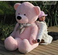 63(160cm)  Teddy Bear BOYDS Age ANY Filling 100% PP cotton 100% green product 1