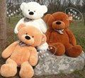63(160cm)  Teddy Bear BOYDS Age ANY Filling 100% PP cotton 100% green product 3