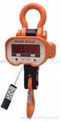 Electronic Crane Scale