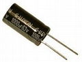 Radial Aluminum Electrolytic Capacitor 1