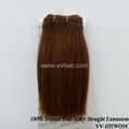 100% Human Hair Silky Straight Extension