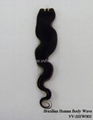 Brazilian Human Body Wave