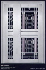 Luxury stainless steel door