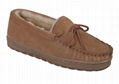 Lady's Moccasin