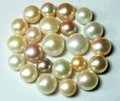 loose freshwater pearls