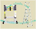 combi-telescopic ladder EN131/SGS(999-019-4+2) 1