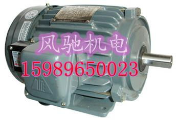 供应AEVF 2.2KW 3P 立式东元马达电机 2