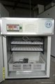 small-size automatic controlling egg incubator(CE approved) 2