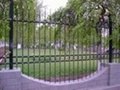 wrought iron fences 3