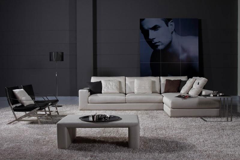 sectionl sofa 4