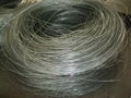 galvanized wire