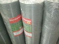 welded wire mesh