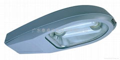 street induction  lamp (LVD)