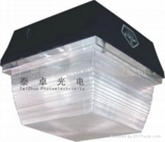 special induction lamp (LVD)