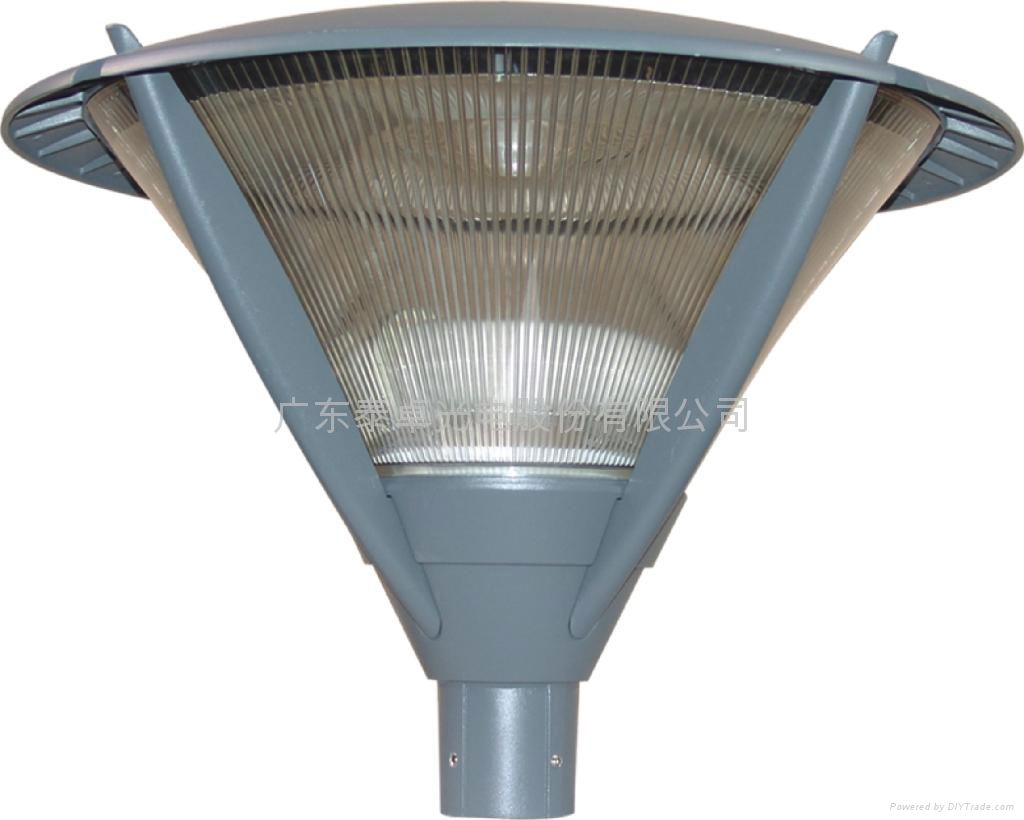  Courtyard  induction  light series  