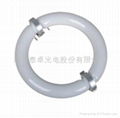 Ring Shap Induction light Sourcing  1