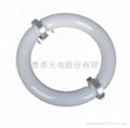 Ring Shap Induction light Sourcing