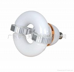 Ring shape self ballasted induction lamp 