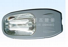 Street Induction light VE_SL_8211