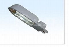 Street induction light