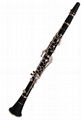 Ebony clarinet