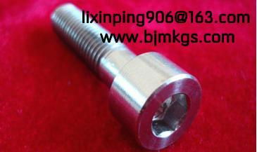 titanium screw