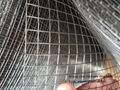 welded wire mesh