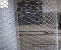 hexagaonal wire netting  2