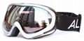 Alevin Skiing Goggles /Glases/eyewear snow SN7771 1