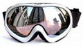 Alevin Skiing Goggles /Glases/eyewear snow SN7771 3