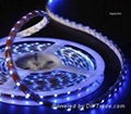 300LEDs Flexible SMD3528 led strip