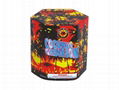 fireworks- cakes(200g) 1