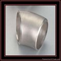 Stainless steel 45D elbow 1