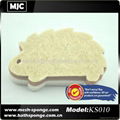 scouring sponge pad