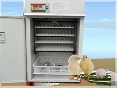 High grade chicken hatchery machine 
