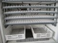 High Quality Full Automatic Chicken Egg Incubator 2