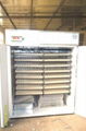 CE Approved Egg incubator YZITE-12  1